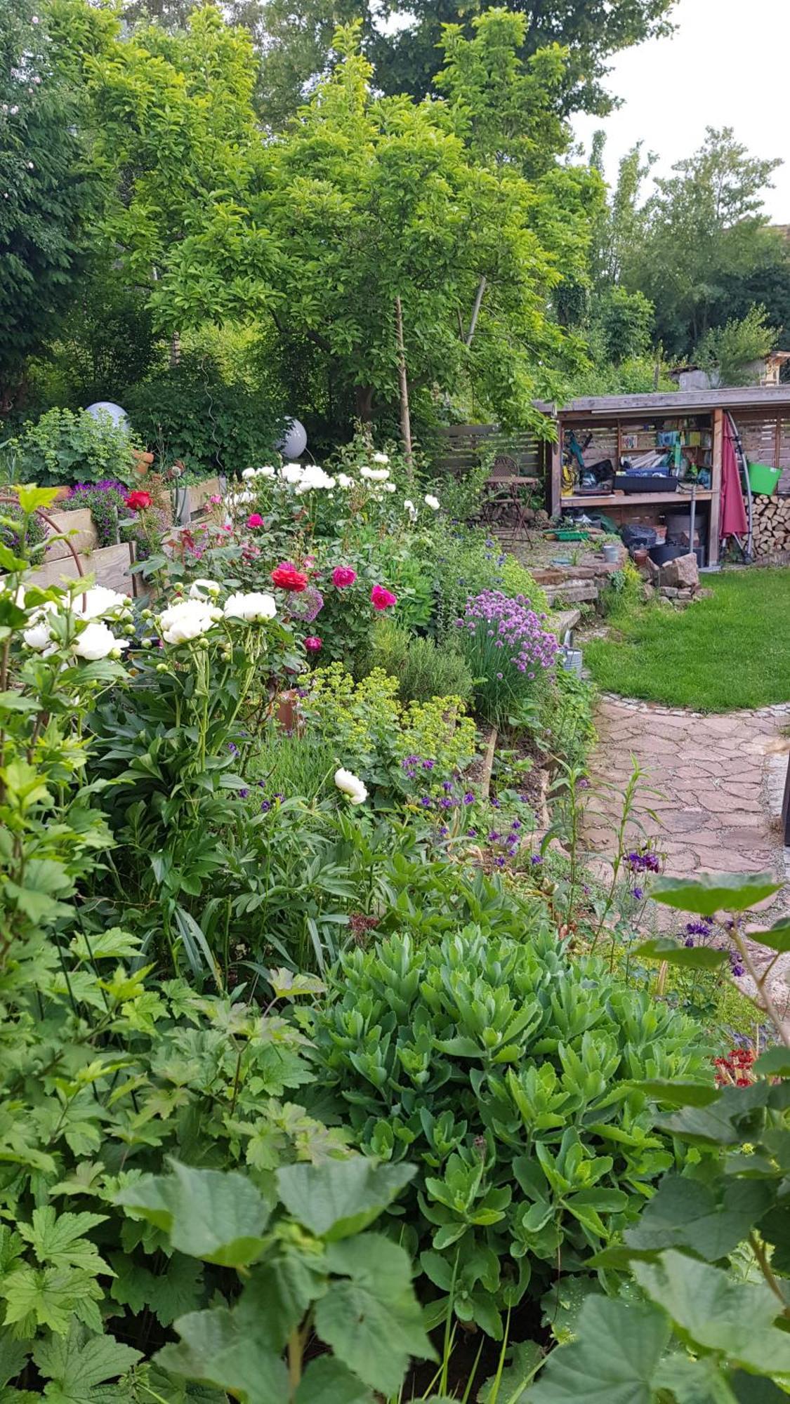 Wohnung Mit Sauna, Garten & Schwimmteich Битигхайм-Биссинген Экстерьер фото